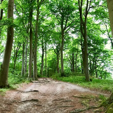 Myhome Ruegen - Haus Arkona 3* Sellin (Rugen)